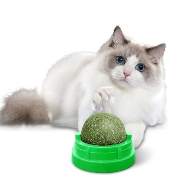 Catnip spin toy