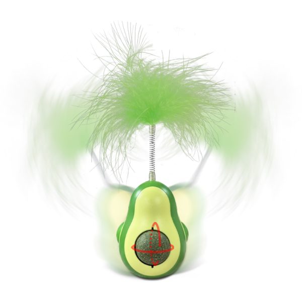 cat toy