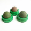Catnip spin toy