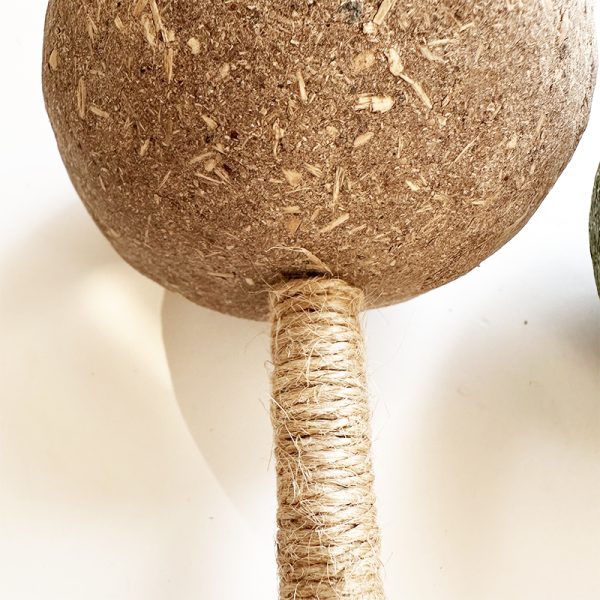 cat toy