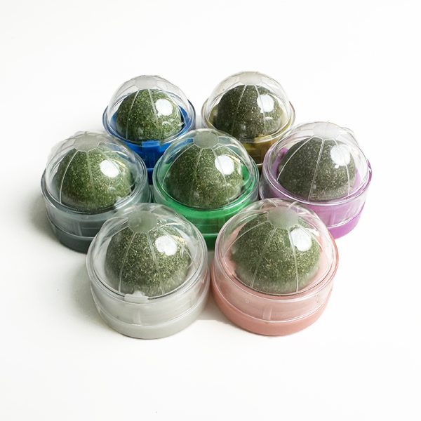 Catnip spin toy