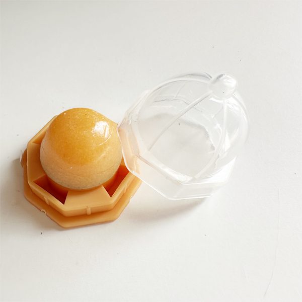 cat toy