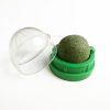 Catnip spin toy