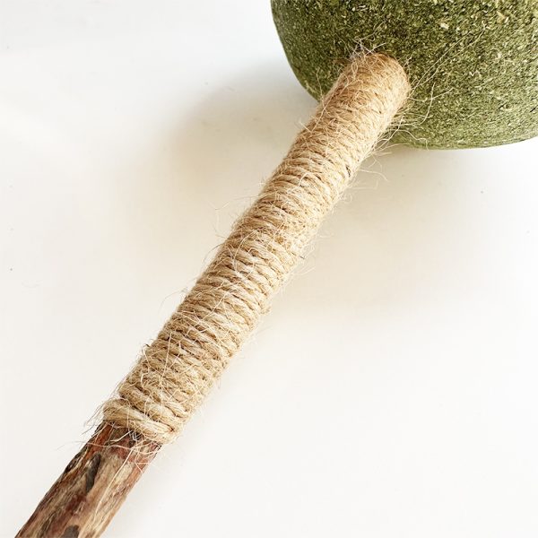 cat toy