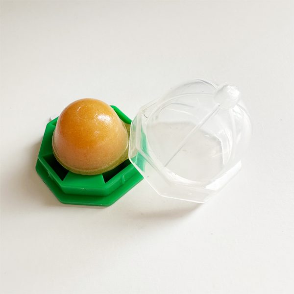 cat toy