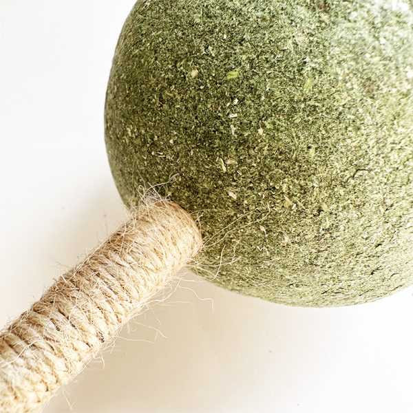 cat toy