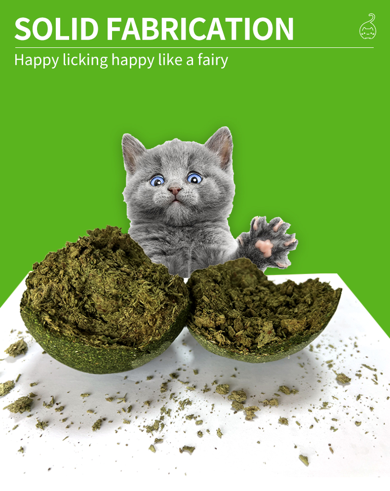cat toy