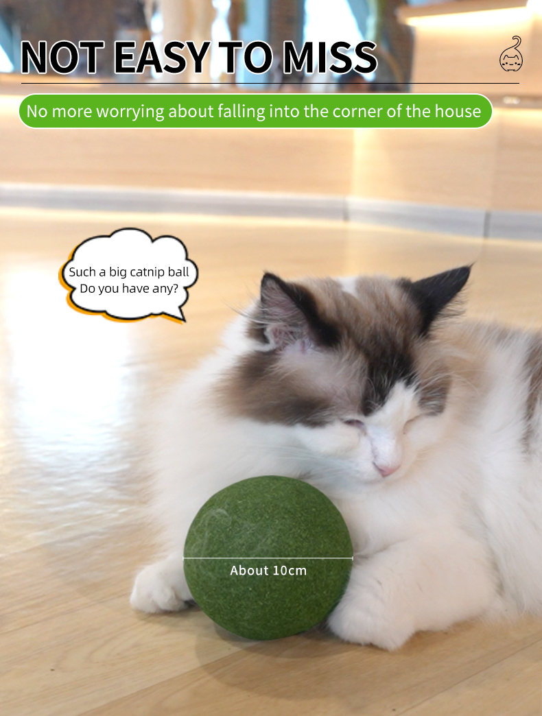 cat toy