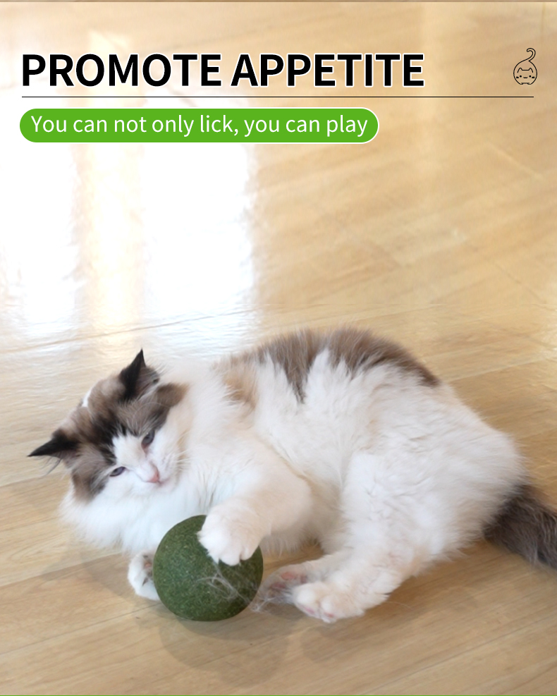 cat toy