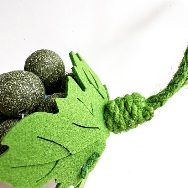 cat toy