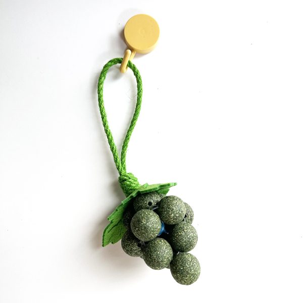 cat toy