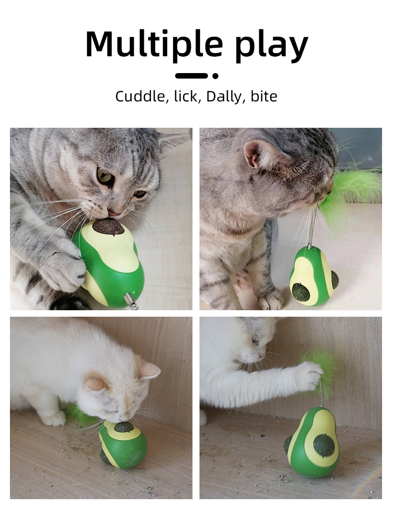 cat toy