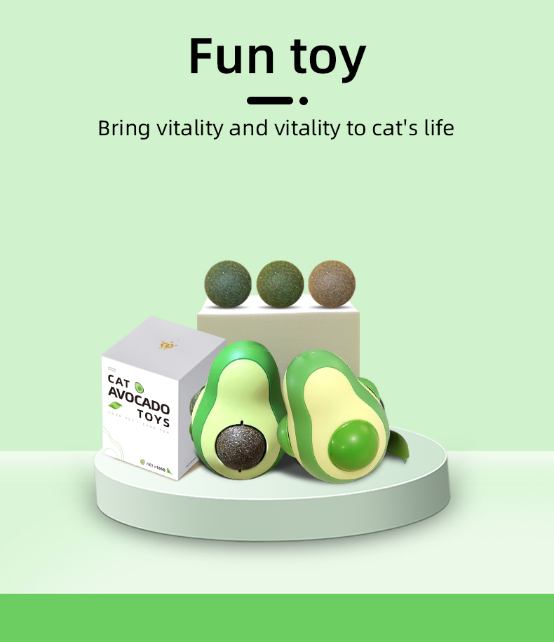 cat toy