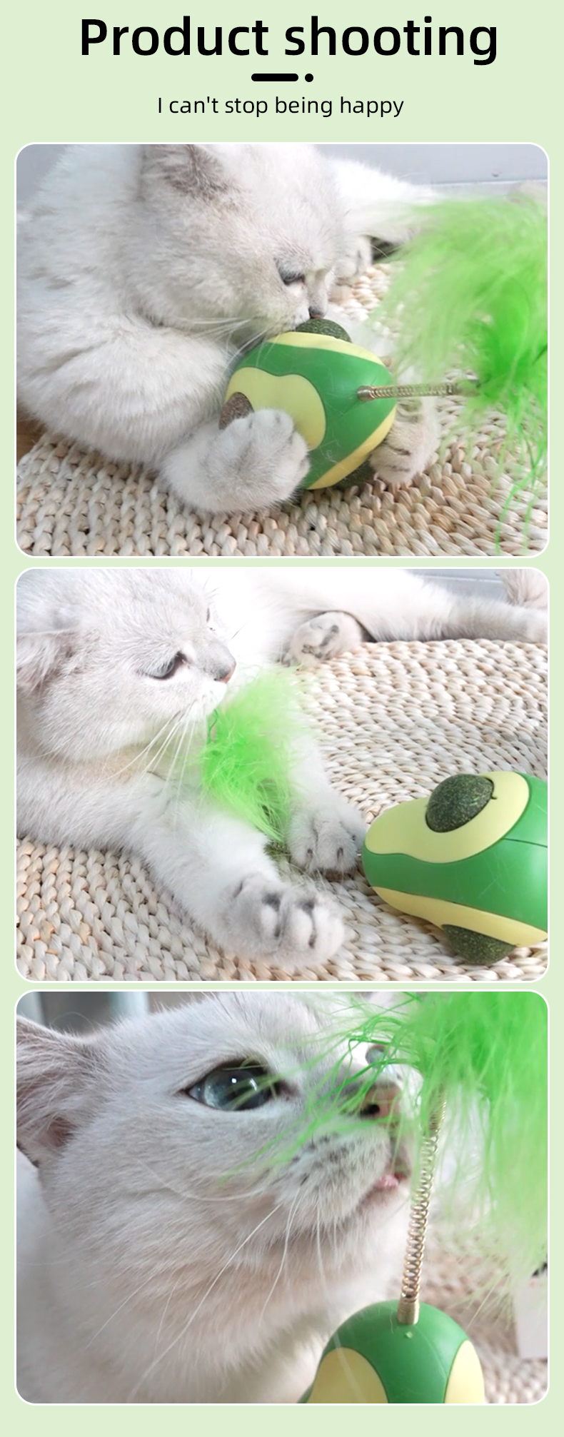 cat toy