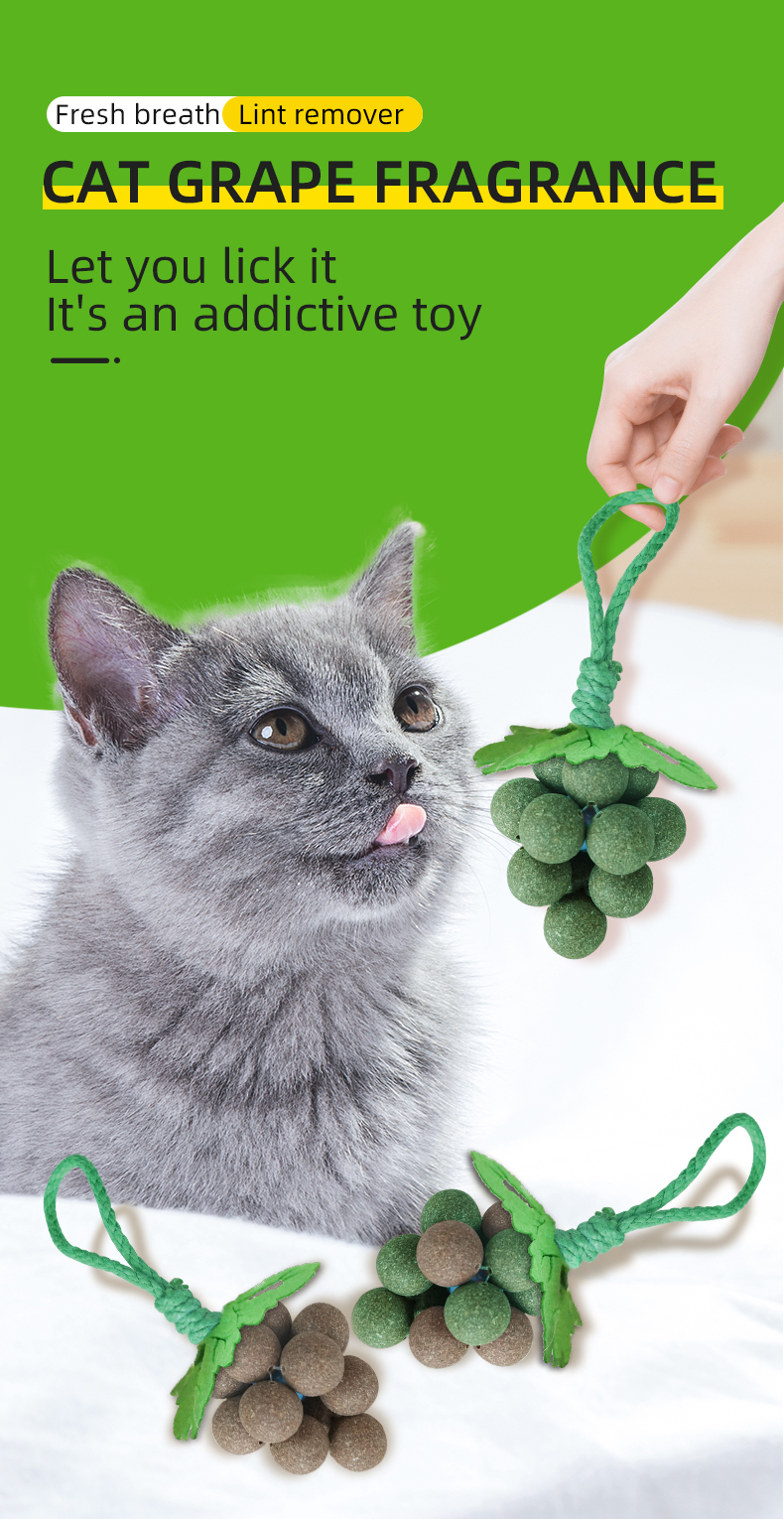 cat toy