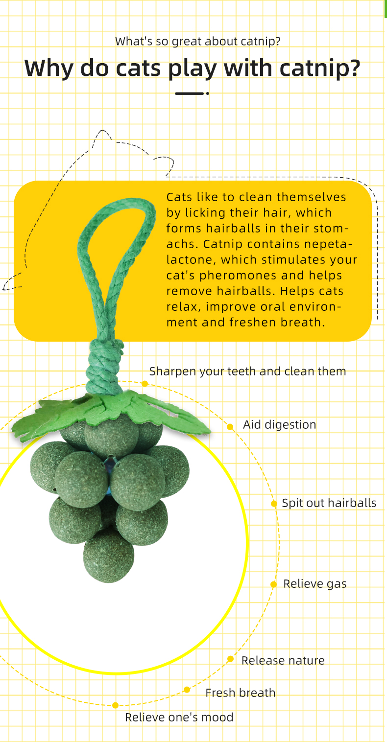 cat toy
