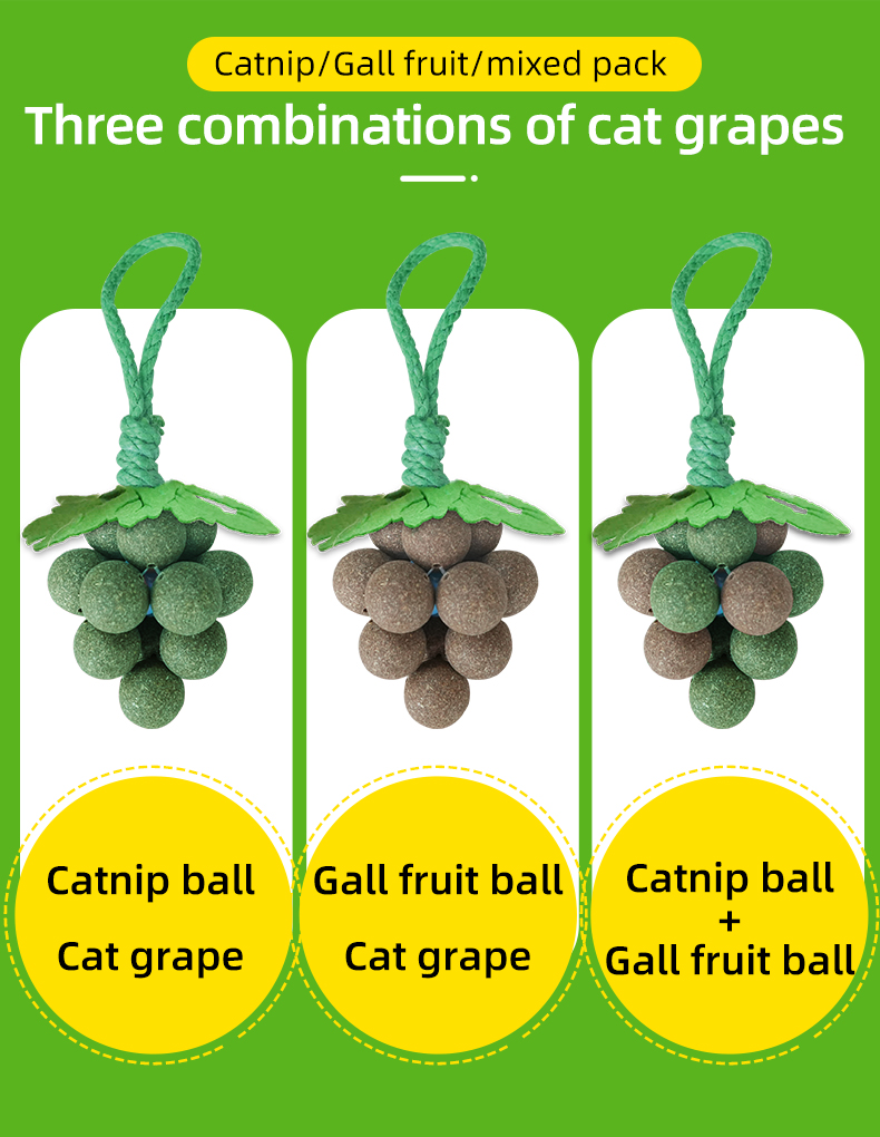 cat toy