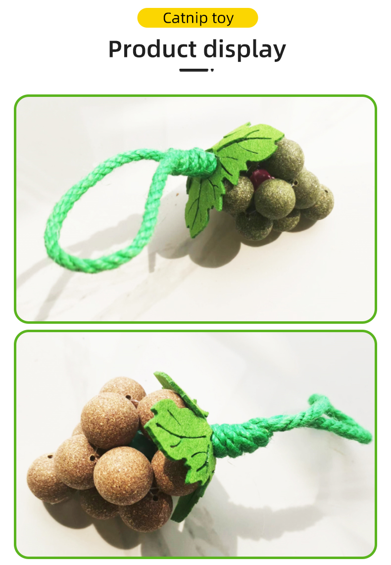 cat toy