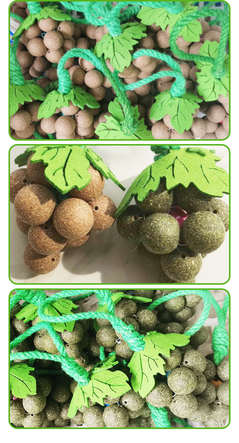 cat toy
