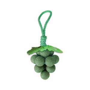 cat toy