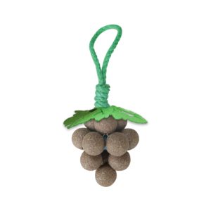 cat toy