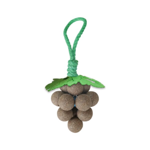 cat toy