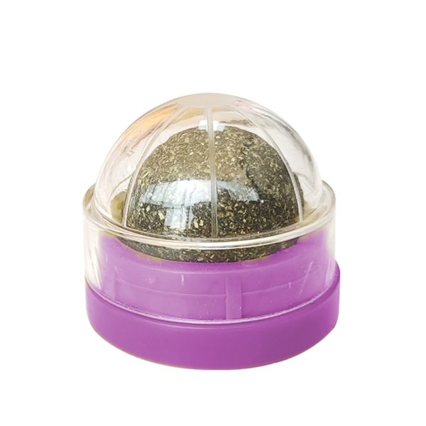 cat toy
