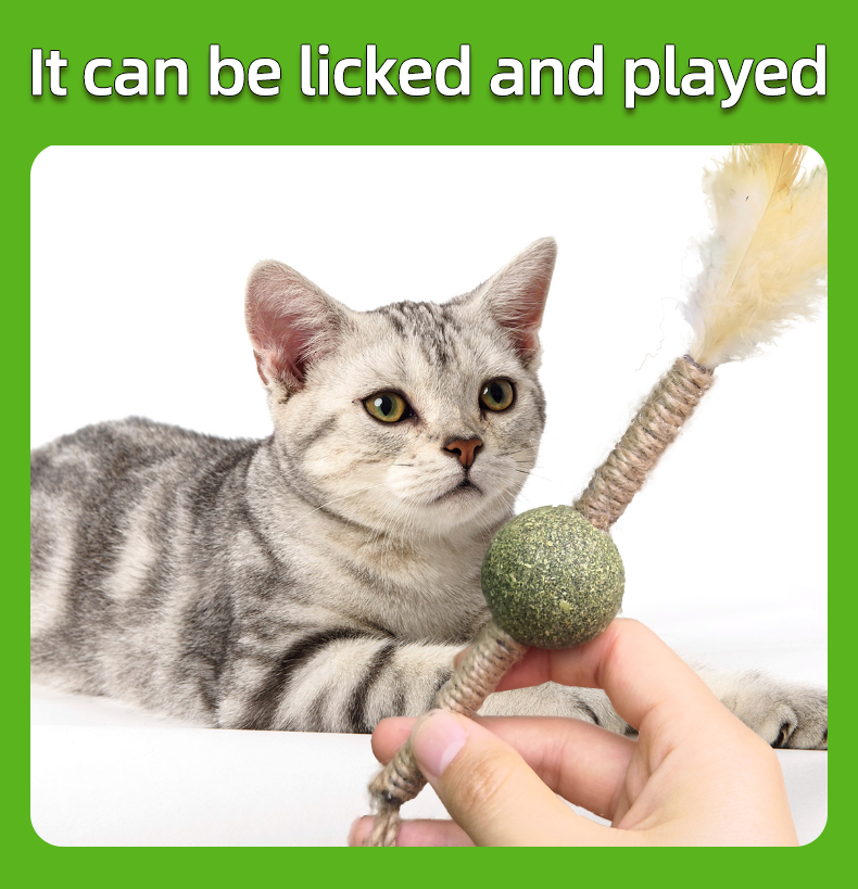 toy