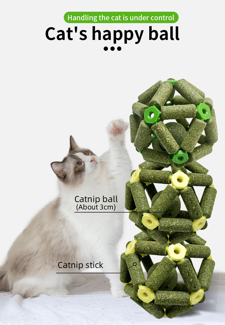 toy