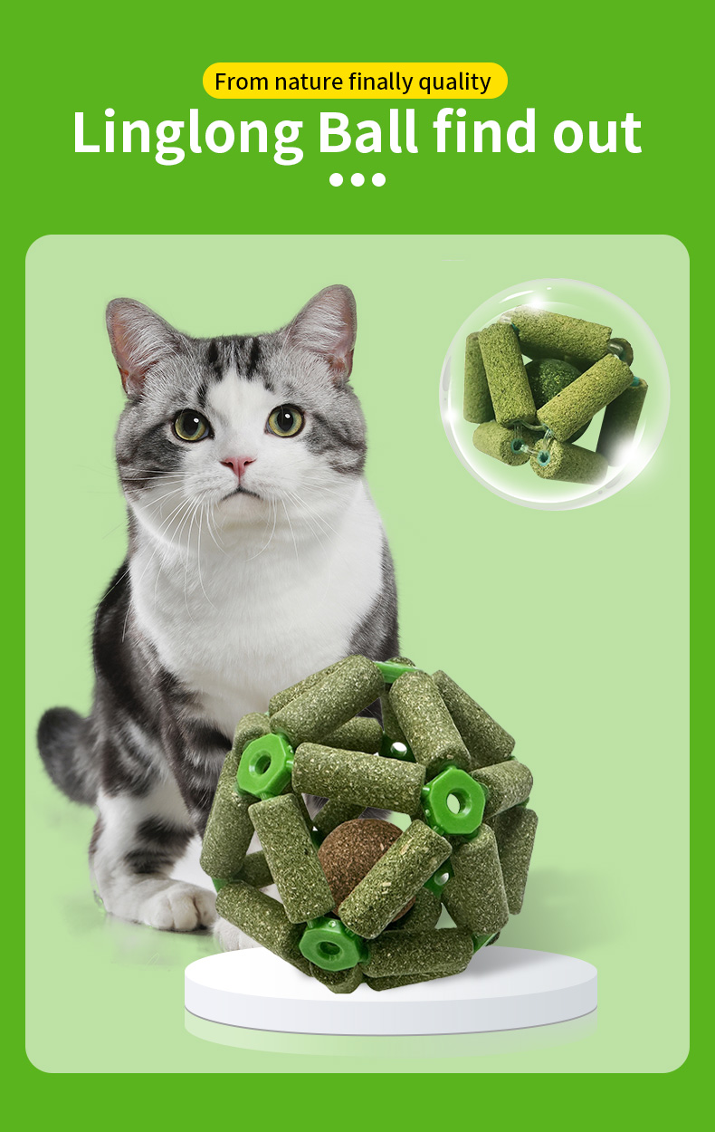 toy