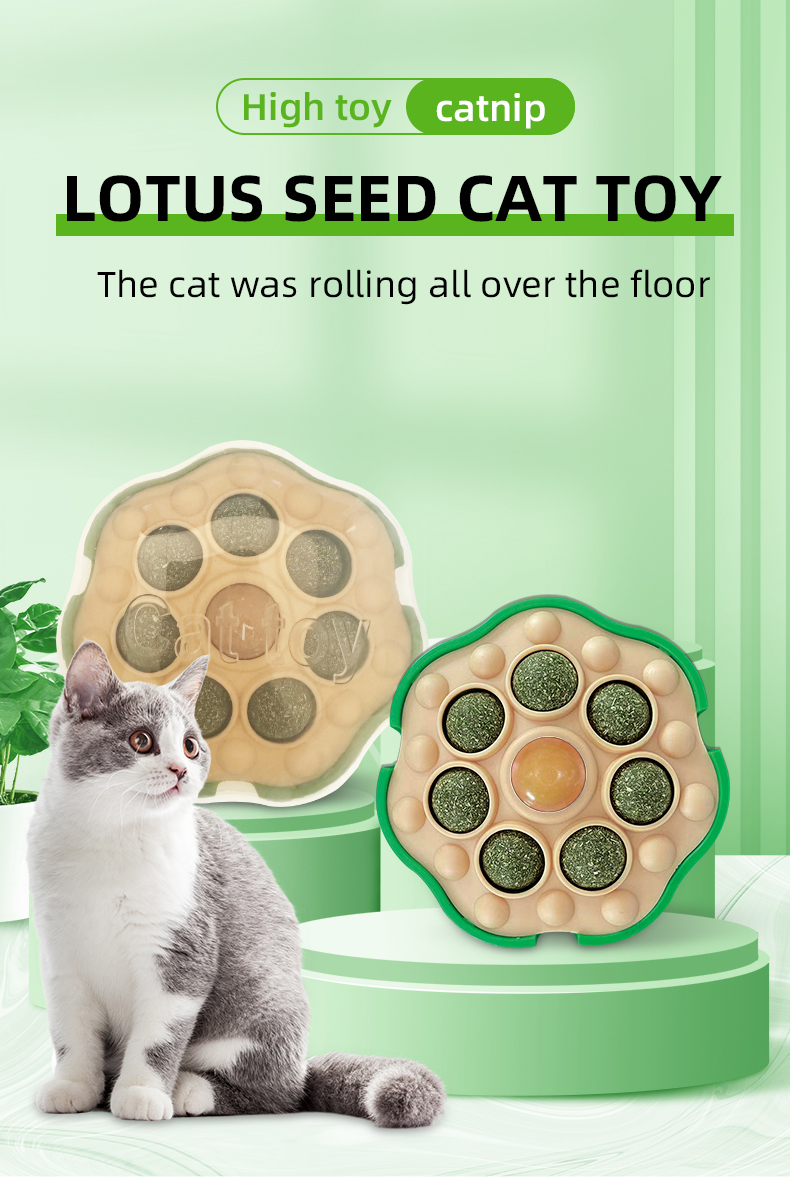 cat toy