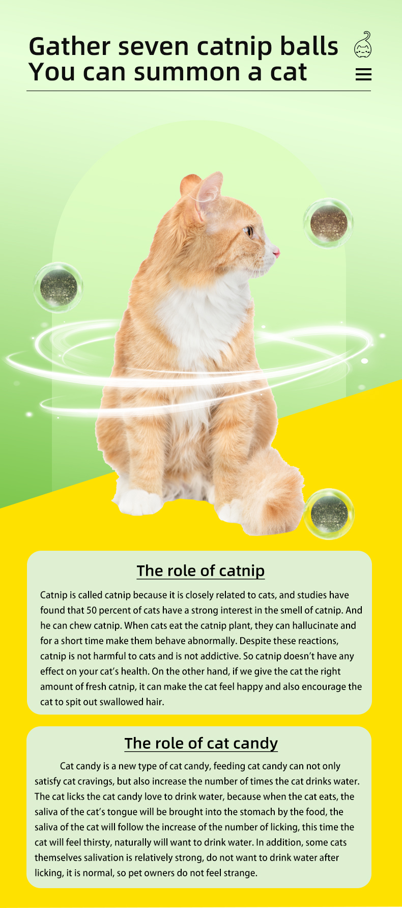 cat toy