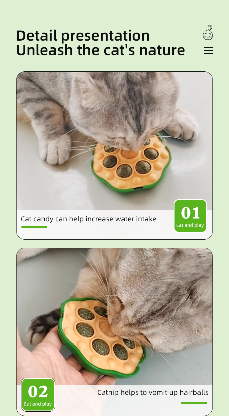 cat toy