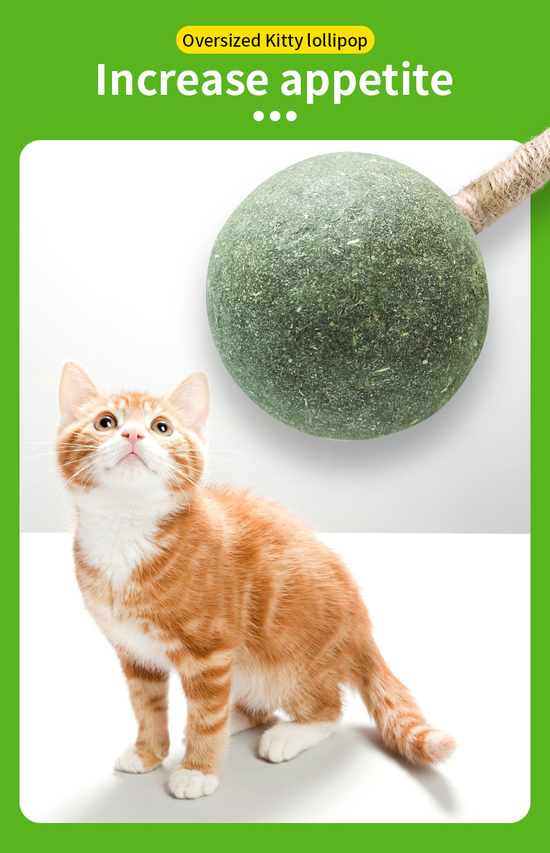 cat toy