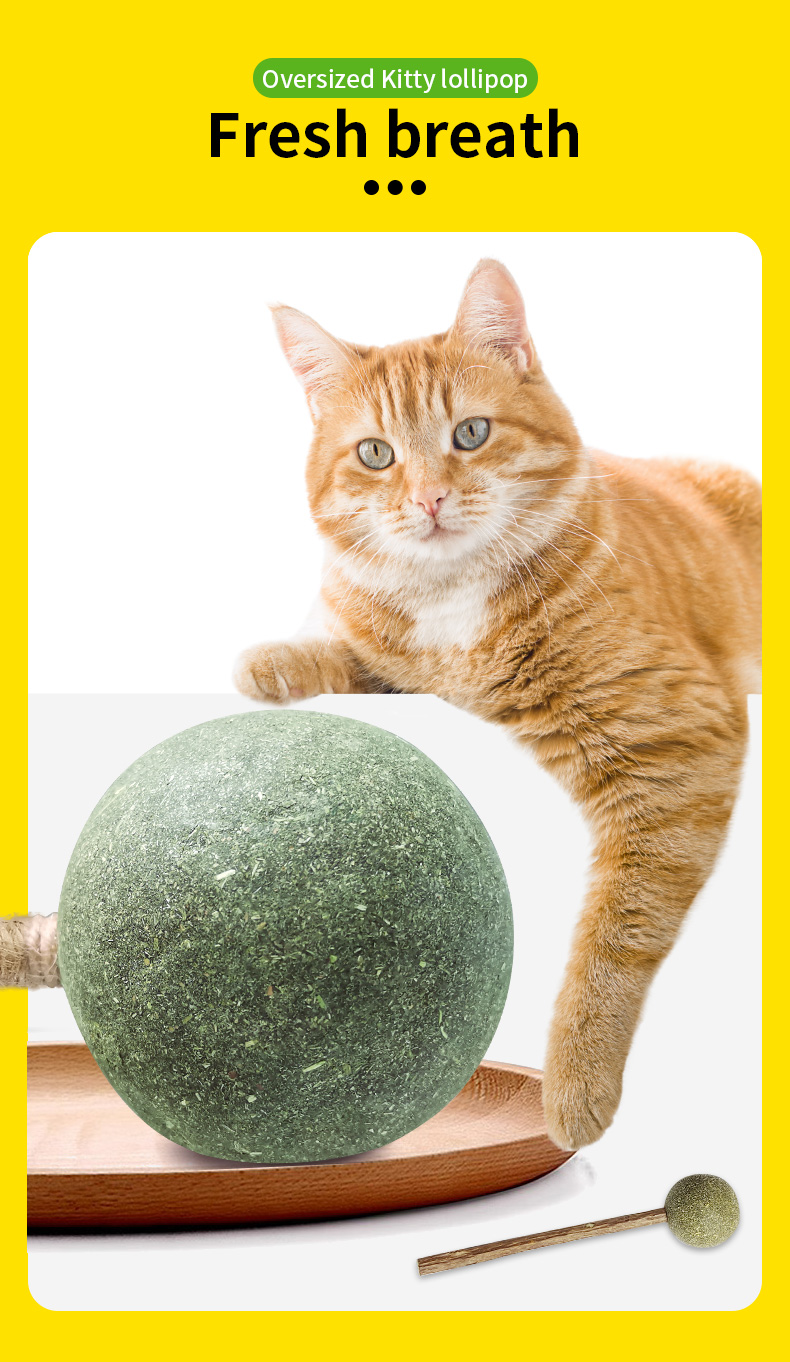 cat toy
