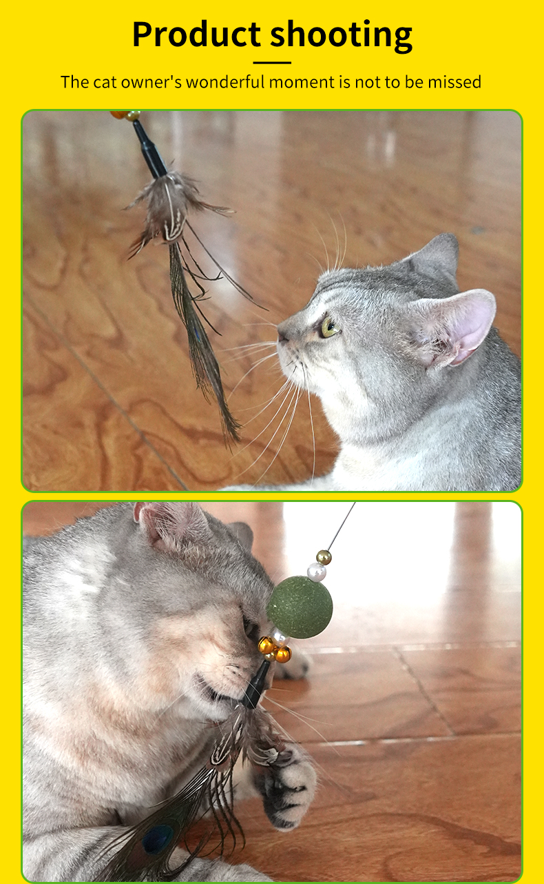 toy