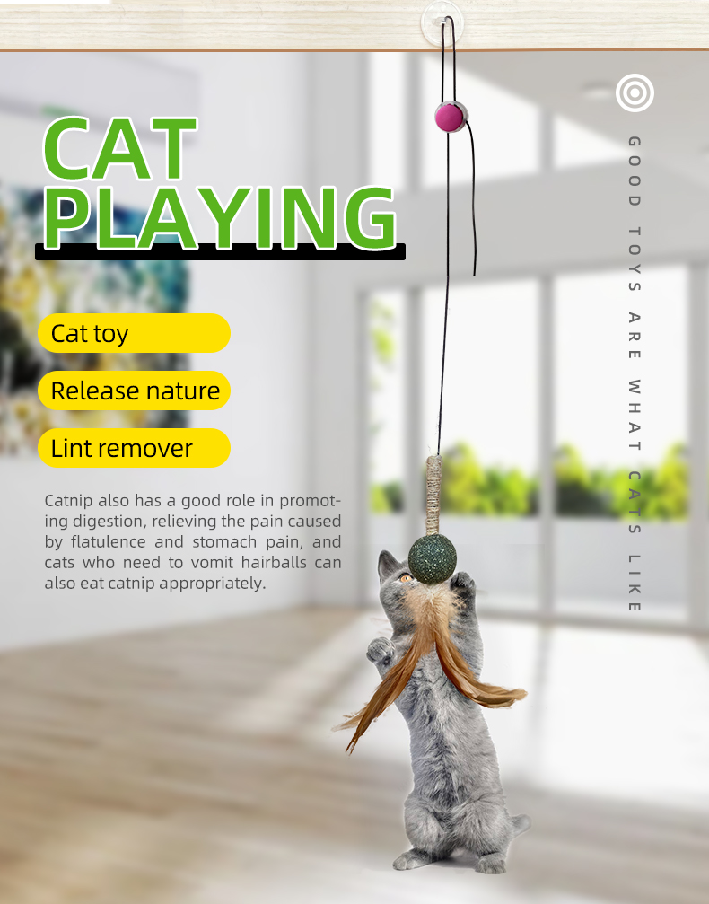 toy
