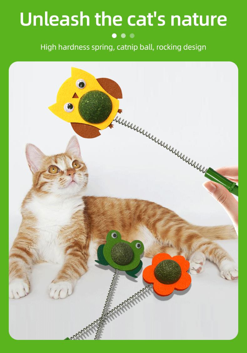 toy