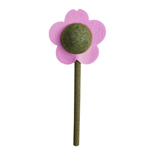 toy