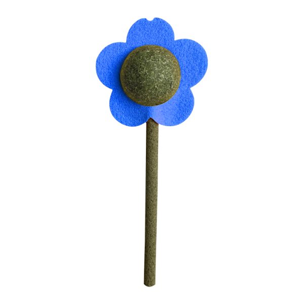 toy