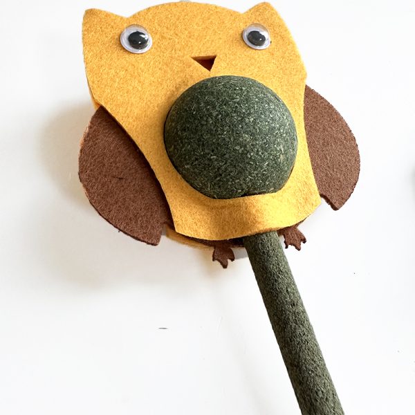 toy